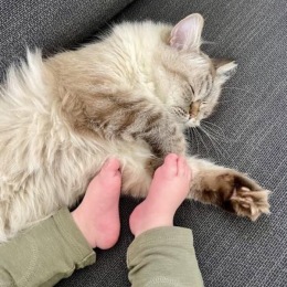 a baby and a cat